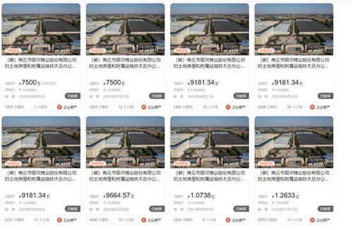 商丘市銀河棉業(yè)破產(chǎn),大型廠房第八次拍賣,7500萬(wàn)就成交了