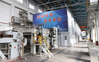 熱點(diǎn) 打好 虧損治理和提質(zhì)增效 攻堅(jiān)戰(zhàn) 銀河紙業(yè)楊木漿二期項(xiàng)目順利開(kāi)機(jī)投產(chǎn)