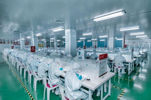 燕之屋115 鮮燉燕窩 堅(jiān)守匠心精神,嚴(yán)把品質(zhì)關(guān)卡