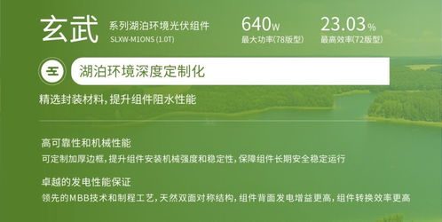 雙良新能科技超級(jí)光能系列高效光伏組件榮獲韓國(guó)工業(yè)標(biāo)準(zhǔn)KS認(rèn)證，助力銀河棉業(yè)綠色發(fā)展